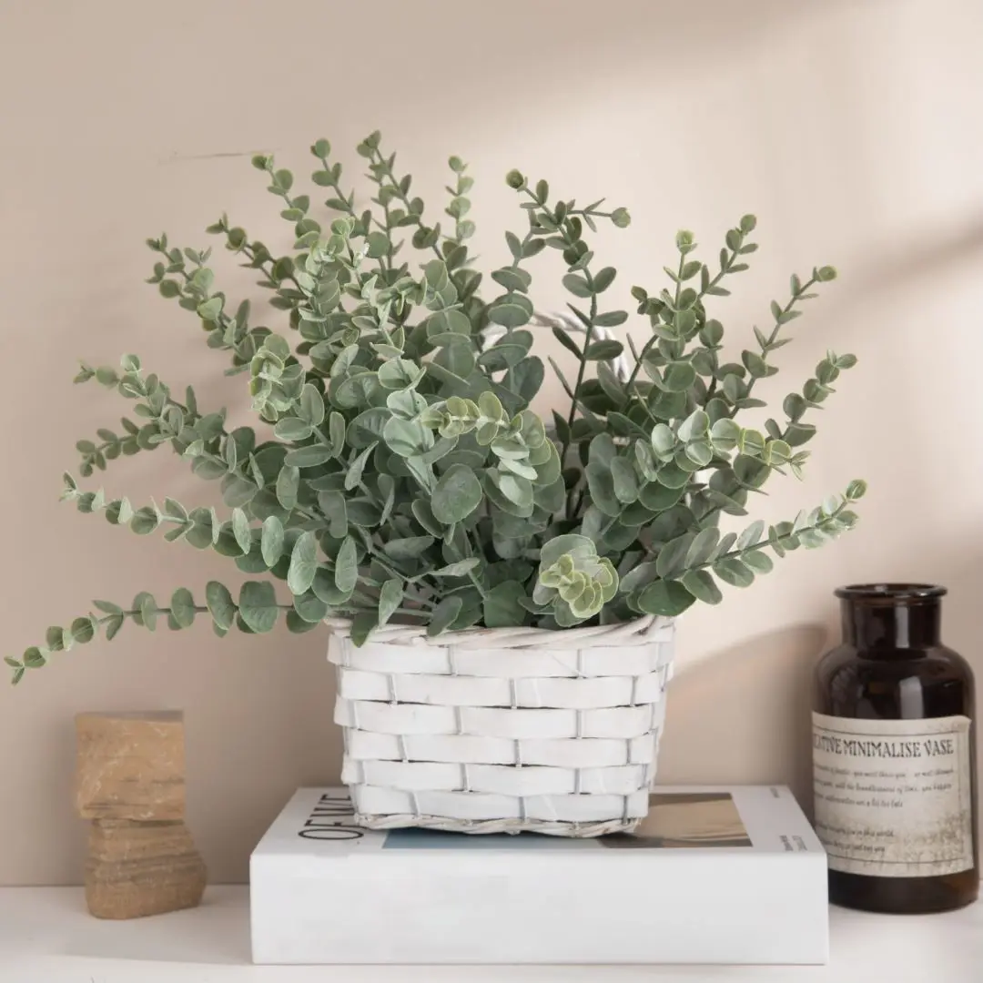 10 Stück 38 cm Eukalyptus-Stie – Florist Supply Bulk Bewertung und Preis