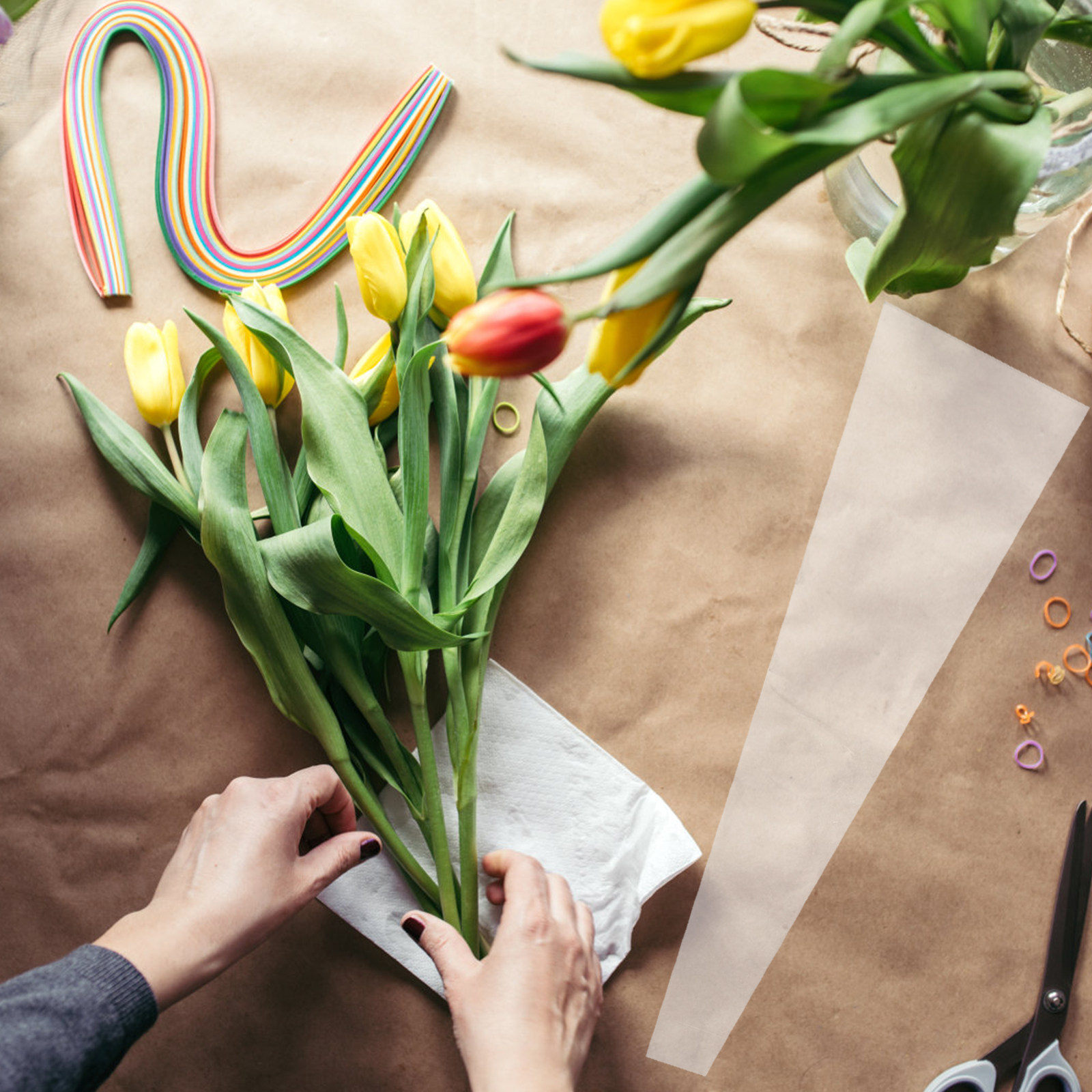 50 Stück reißfeste Cellophan-B – Florist Flower Supply Bewertung und Preis