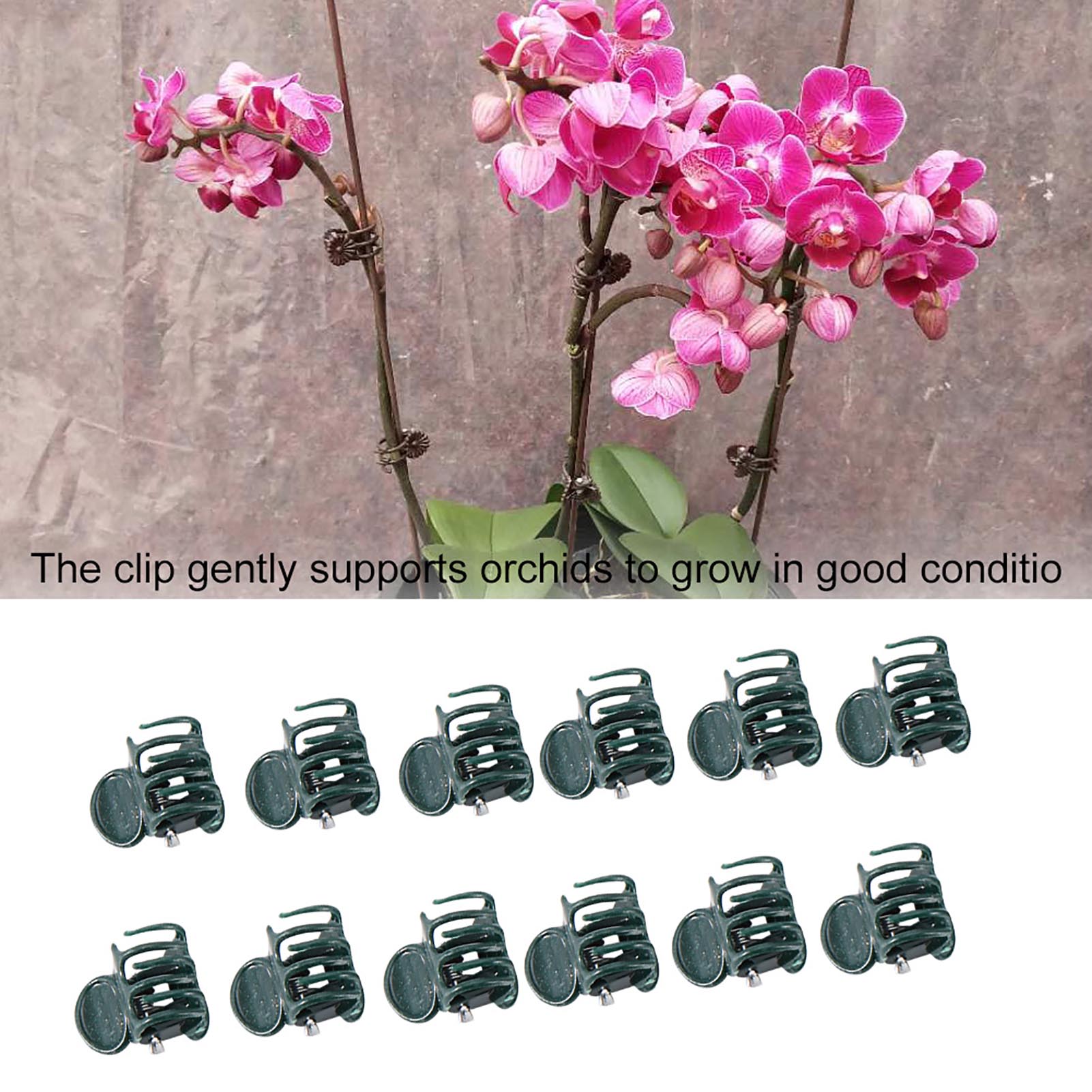 100 Stück Mini-Pflanzenklammer – Florist Supply Bulk Bewertung und Preis